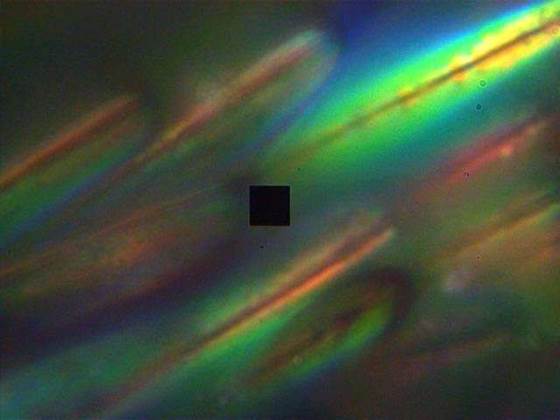 说明: Nature's smallest rainbows, created by peacock spiders, may inspire new optical technology