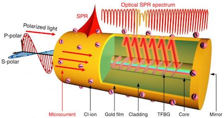 说明: A tilted fiber Bragg grating in a single-mode fiber is coated with a nanoscale gold film for surface-plasmon-resonance excitation.