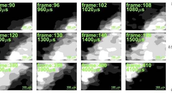 Researchers capture X-ray images with unprecedented speed and resolution